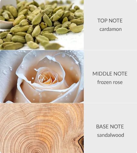 notes-bamboo-frozen-woodland-walk-medium-3.jpg