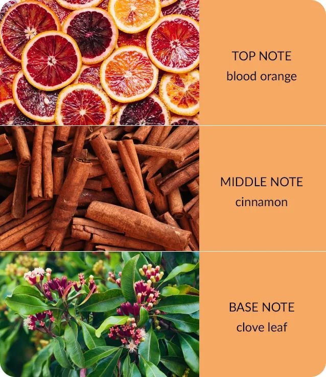 notes-bamboo-orange-zest-cloveoil-medium.jpg