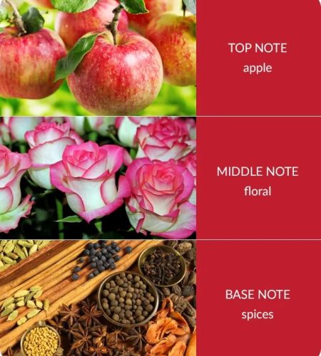 notes-bamboo-spiced-apple-cinnamon-medium-1.jpg