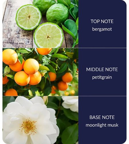 notes-starry-night-medium-3.jpg